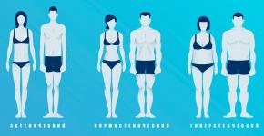 Типы телосложения мужчин: описание базовых видов фигуры Субтильное телосложение у мужчин